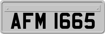 AFM1665
