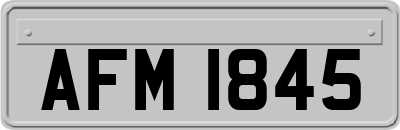 AFM1845