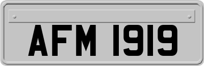 AFM1919