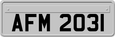 AFM2031