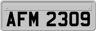 AFM2309