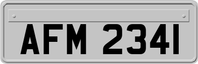 AFM2341