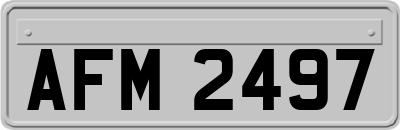 AFM2497