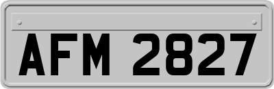 AFM2827