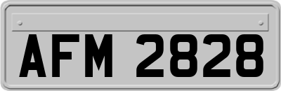 AFM2828