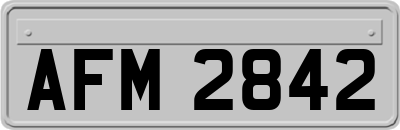 AFM2842