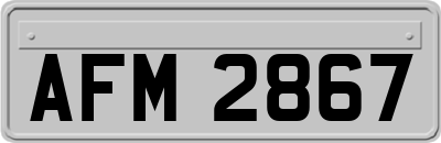 AFM2867