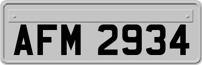 AFM2934