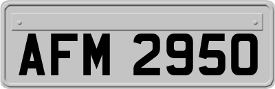 AFM2950