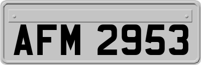 AFM2953