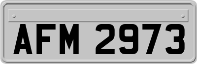 AFM2973