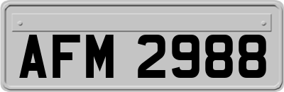 AFM2988