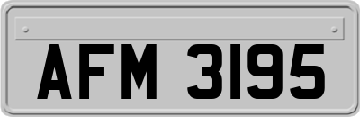 AFM3195