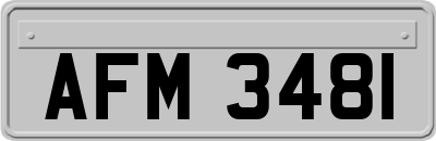 AFM3481