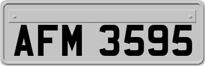 AFM3595
