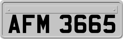 AFM3665