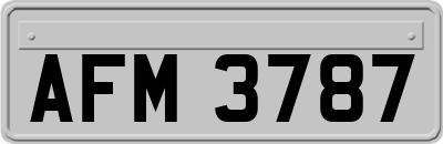 AFM3787