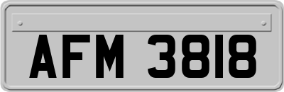 AFM3818
