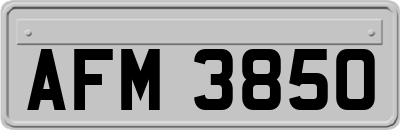 AFM3850