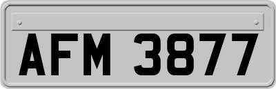AFM3877