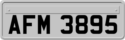 AFM3895