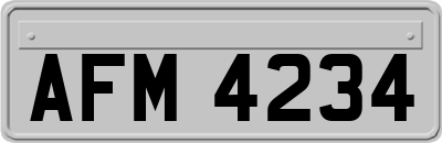AFM4234