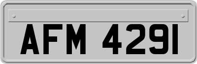AFM4291