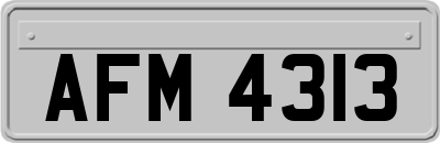 AFM4313