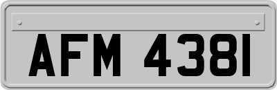 AFM4381