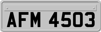 AFM4503