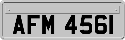 AFM4561