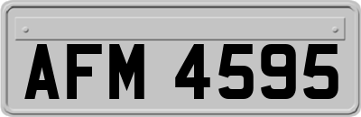 AFM4595