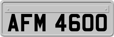 AFM4600