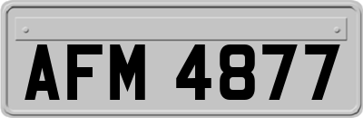 AFM4877