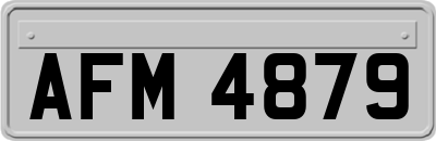 AFM4879