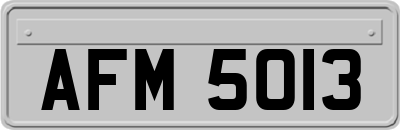 AFM5013