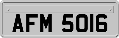 AFM5016