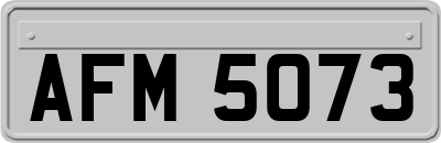 AFM5073
