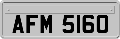 AFM5160