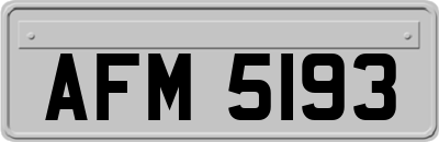 AFM5193