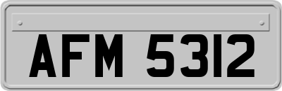 AFM5312