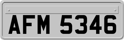 AFM5346