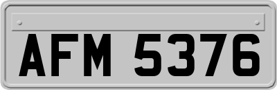 AFM5376