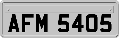 AFM5405