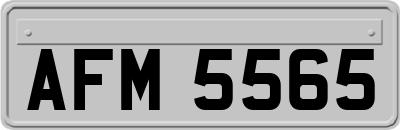 AFM5565