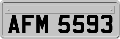 AFM5593