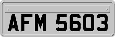 AFM5603