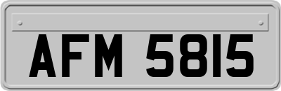 AFM5815