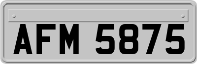 AFM5875