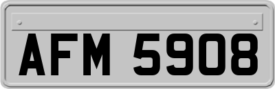 AFM5908